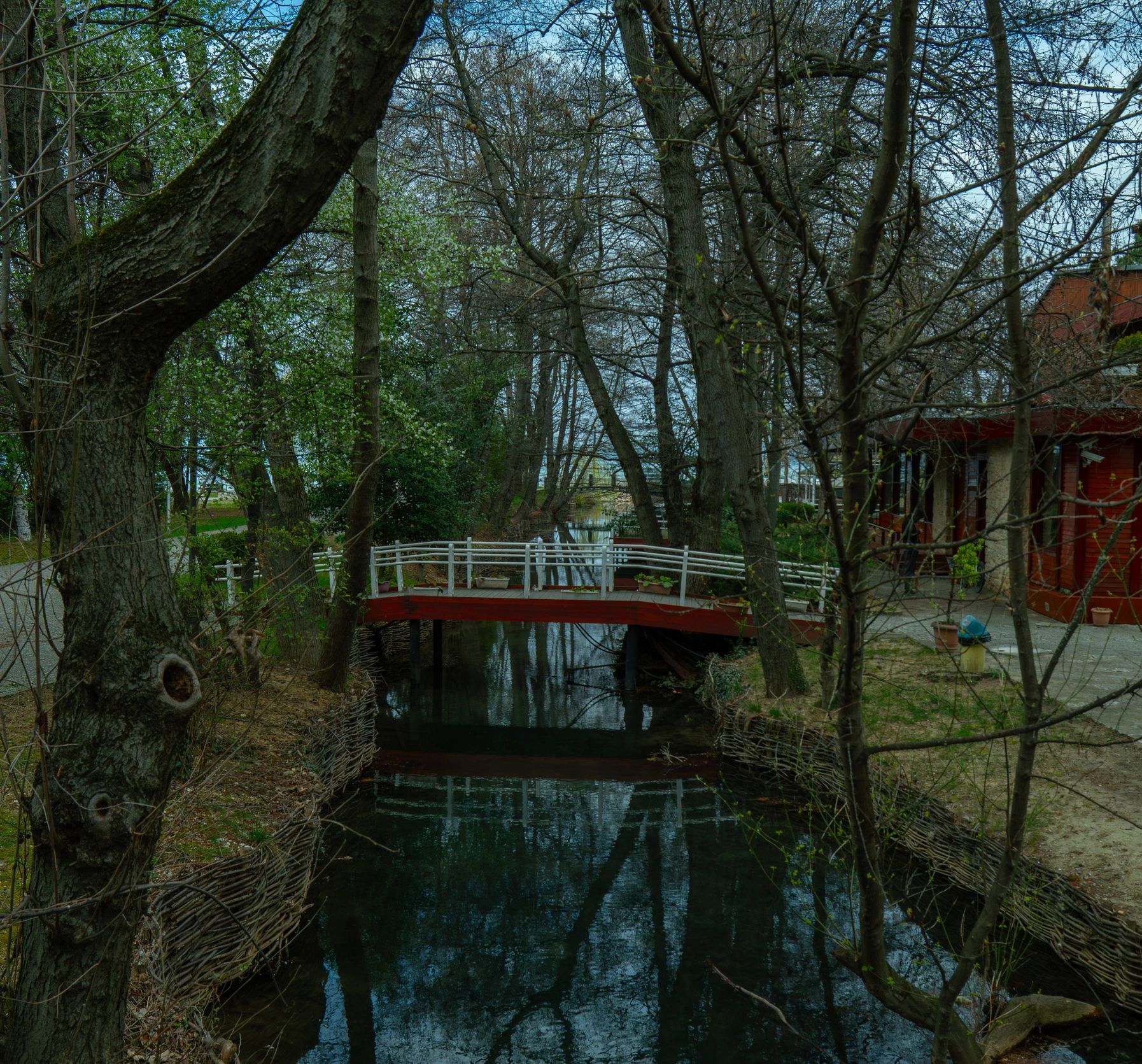 Wooden bridge over calm natural springs in Albania