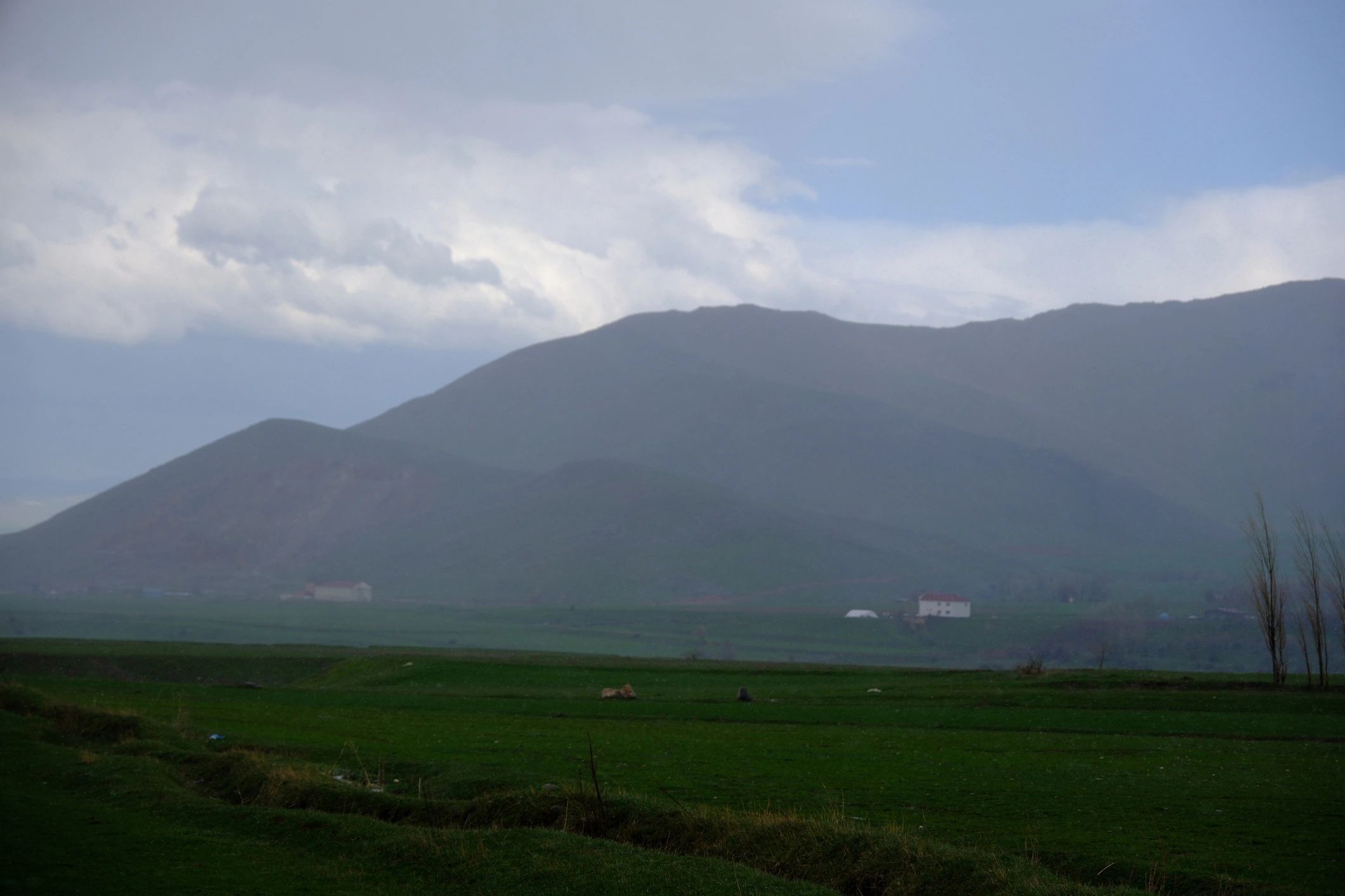 Green valley with misty mountains